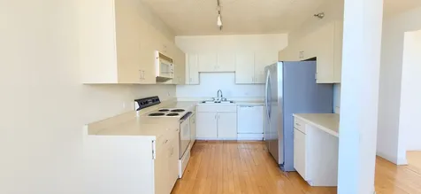 221 East Walton Place Chicago IL 60611