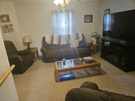 906 Barham Avenue N Johnston City IL 62951