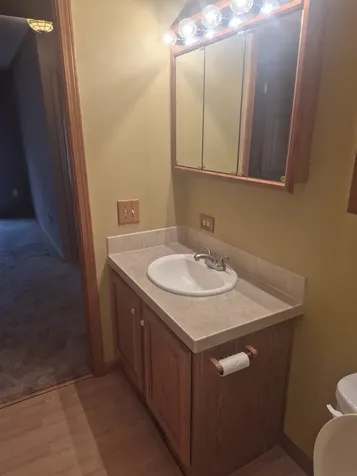10864 La Costa Lane Frankfort IL 60423
