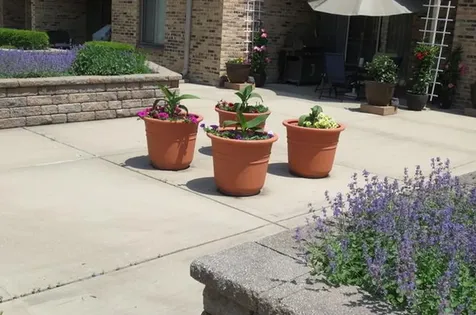 1620 Waxwing Court Schaumburg IL 60173