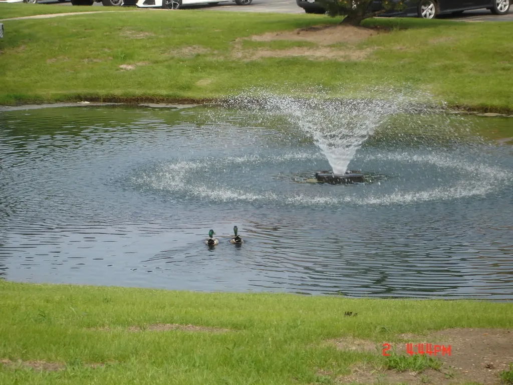 708 North Briar Hill Lane Addison IL 60101