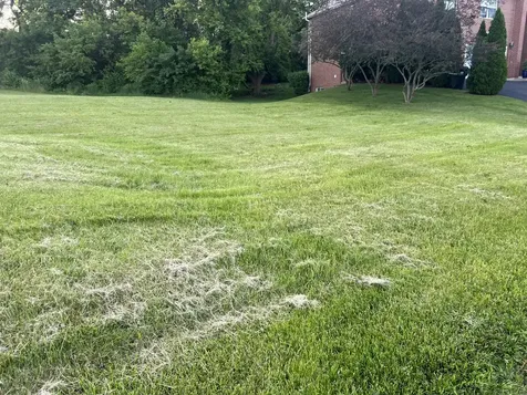 5305 Rita Avenue Crystal Lake IL 60014