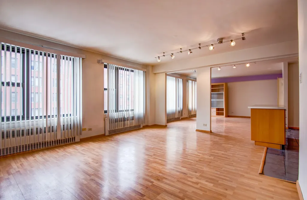 7355 South South Shore Drive Chicago IL 60649