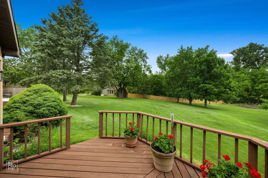 18461 Conlee Drive Mokena IL 60448