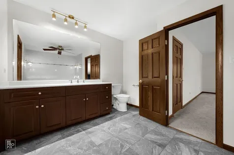 18461 Conlee Drive Mokena IL 60448