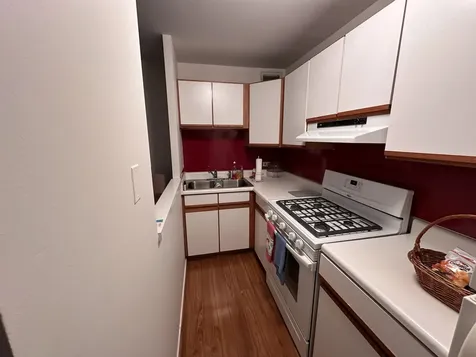 3021 South Michigan Avenue Chicago IL 60616
