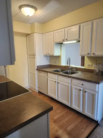 606 East Woodland Park Avenue Chicago IL 60616