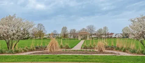 2804 Neubauer Circle Lindenhurst IL 60046