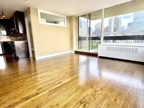 1360 North Sandburg Terrace Chicago IL 60610