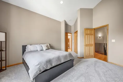 15916 South Windmill Drive Homer Glen IL 60491