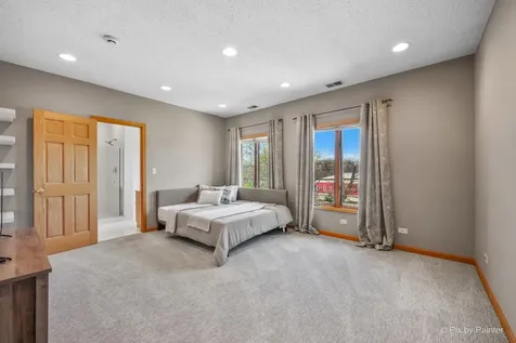 15916 South Windmill Drive Homer Glen IL 60491