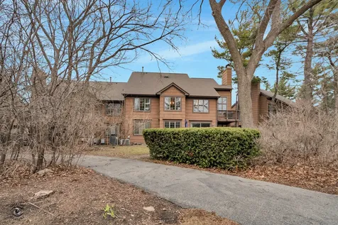 1121 Lacebark Court Darien IL 60561