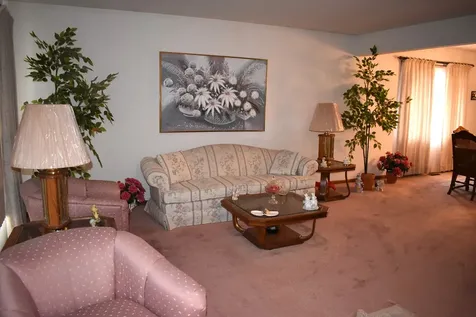 16619 Tudor Lane Tinley Park IL 60477