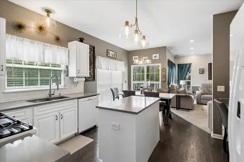 29676 North Environ Circle Lake Bluff IL 60044