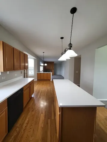 18392 Springwood Drive Grayslake IL 60030