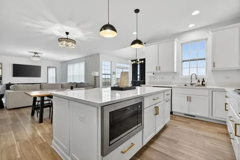 1624 Moran Drive Shorewood IL 60404