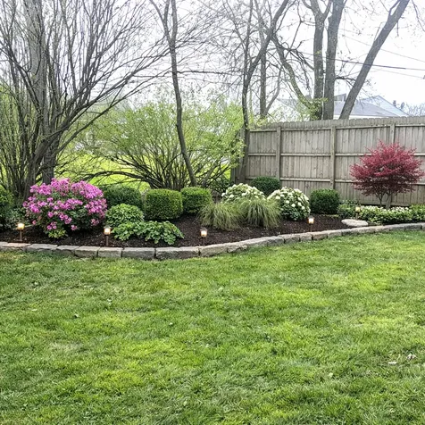 55 Apple Lane Park Forest IL 60466