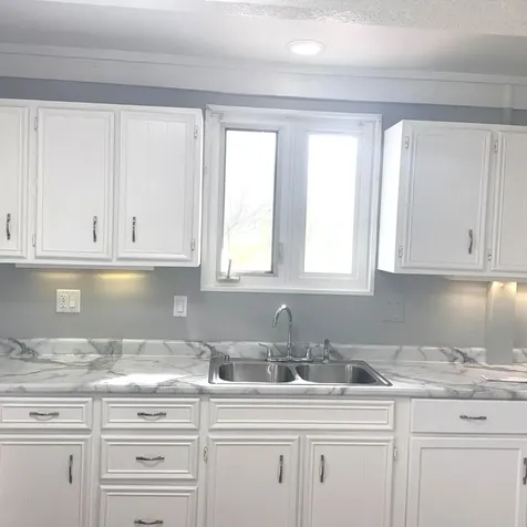 55 Apple Lane Park Forest IL 60466