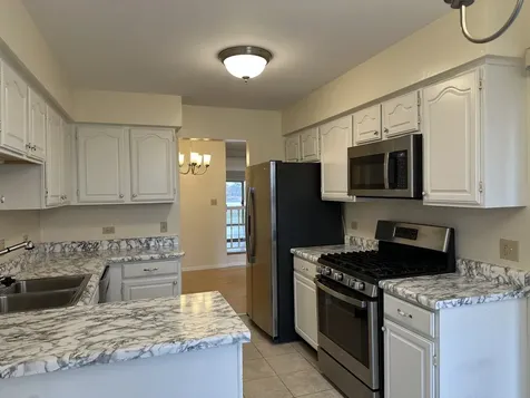 1250 North Streamwood Lane Vernon Hills IL 60061