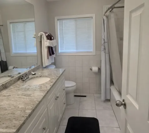 313 North Orchard Drive Park Forest IL 60466