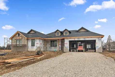 11113 Lizmore Lane Orland Park IL 60467