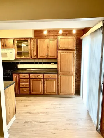 188 Robert Court Bartlett IL 60103
