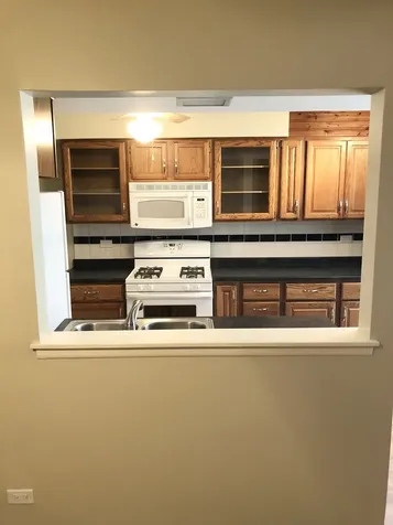 188 Robert Court Bartlett IL 60103