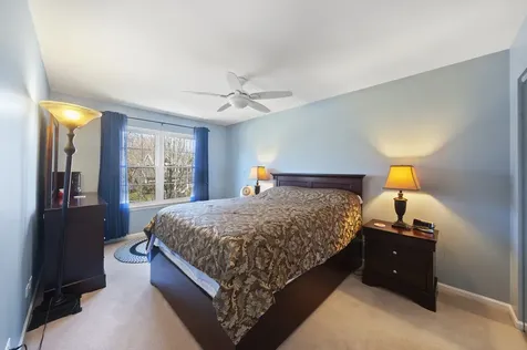 34121 North Sulkey Drive Grayslake IL 60030