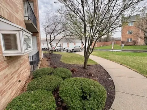 18320 Robin Lane Homewood IL 60430