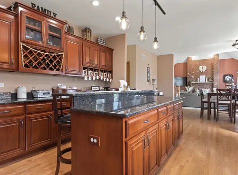 21163 South Wooded Cove Drive Elwood IL 60421