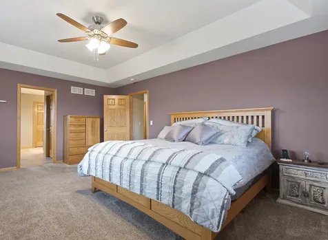 21163 South Wooded Cove Drive Elwood IL 60421