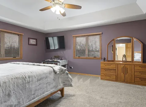 21163 South Wooded Cove Drive Elwood IL 60421