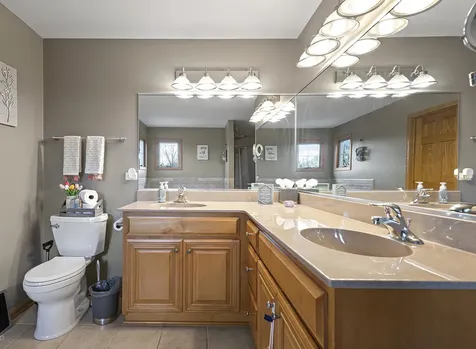 21163 South Wooded Cove Drive Elwood IL 60421