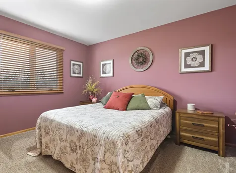 21163 South Wooded Cove Drive Elwood IL 60421