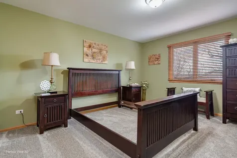 21163 South Wooded Cove Drive Elwood IL 60421