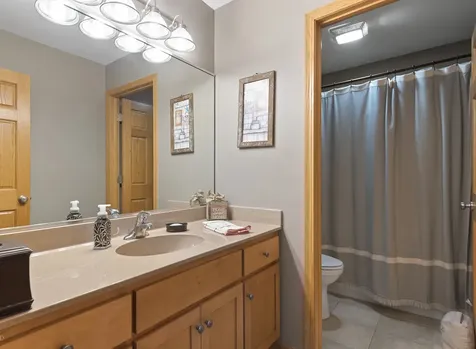 21163 South Wooded Cove Drive Elwood IL 60421