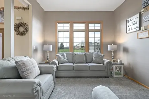 21163 South Wooded Cove Drive Elwood IL 60421