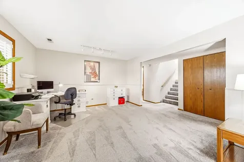 13764 West Deervalley Drive Homer Glen IL 60491