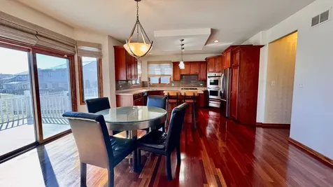 21249 Sophia Drive Matteson IL 60443