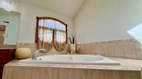 21249 Sophia Drive Matteson IL 60443