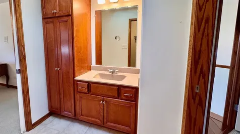 21249 Sophia Drive Matteson IL 60443