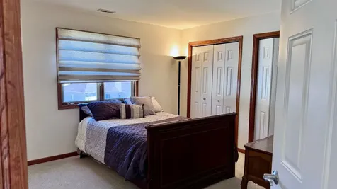 21249 Sophia Drive Matteson IL 60443