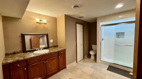 21249 Sophia Drive Matteson IL 60443