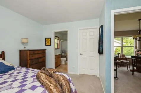 1016 Castleton Court Grayslake IL 60030