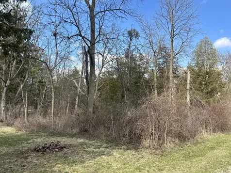 Lot 17 & 18 Harding Avenue Richmond IL 60071