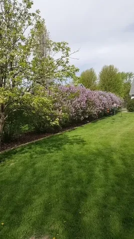 537 Erma Drive Lake Holiday IL 60552