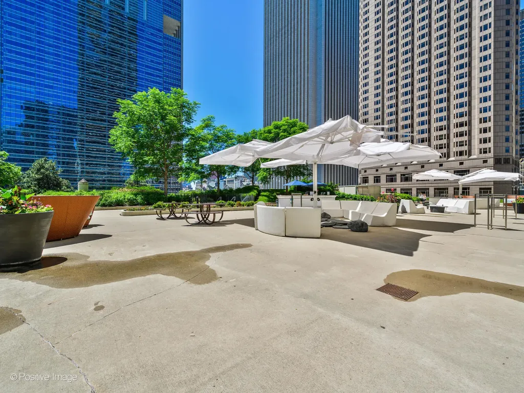 208 North Park Drive Chicago IL 60601