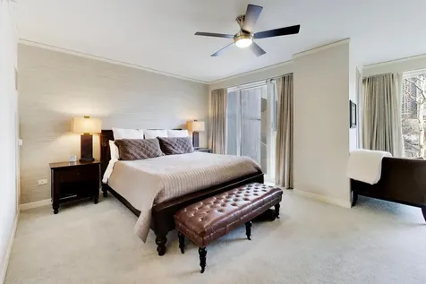 208 North Park Drive Chicago IL 60601