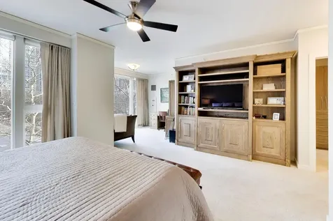 208 North Park Drive Chicago IL 60601