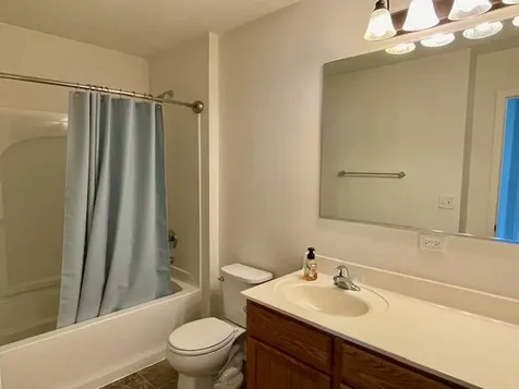2009 Mayfair Drive Island Lake IL 60042